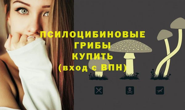 ешки Лиски