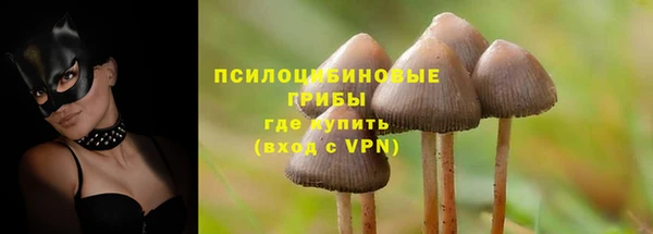 ешки Лиски